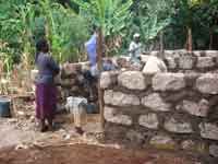 Pig Shed 2