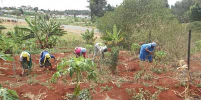 Diary of a Volunteer: Cooperation – at the Heart of Compassion