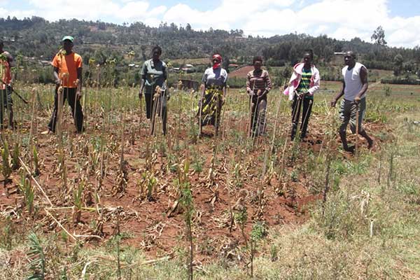 Kiambu Volunteers